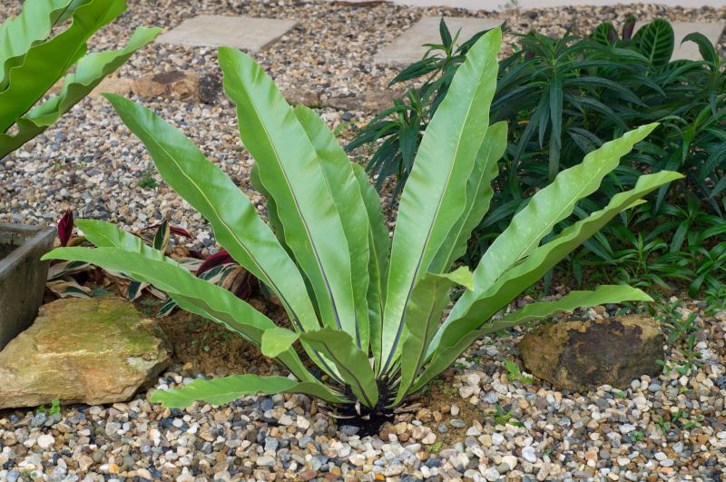 Quick Maintenance Habit